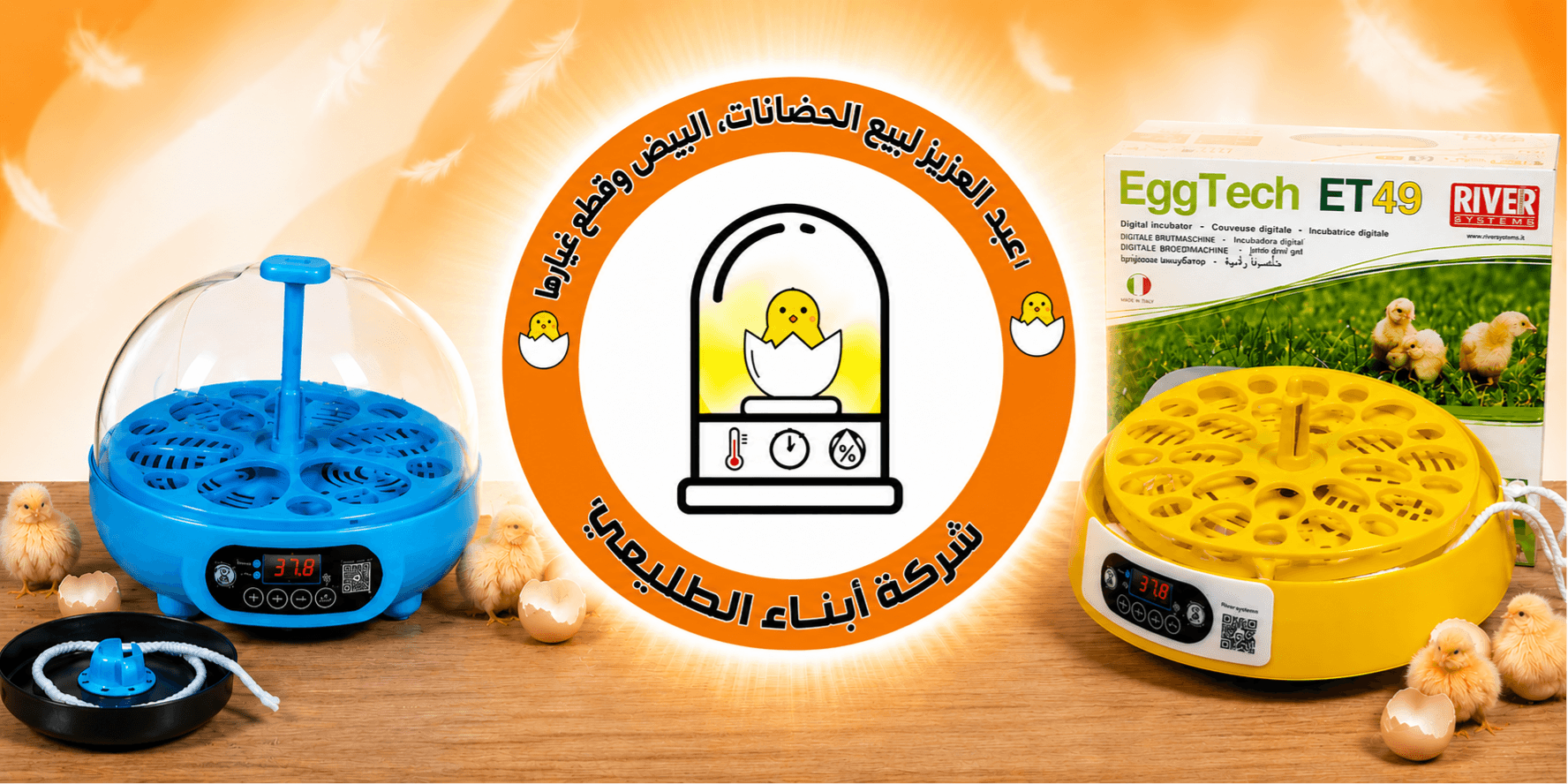 الشريحة 1